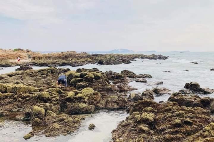 Suoi Nuoc Resort Mui Ne Dış mekan fotoğraf