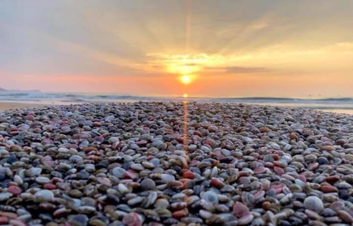 Suoi Nuoc Resort Mui Ne Dış mekan fotoğraf