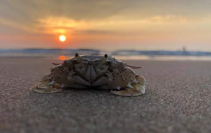 Suoi Nuoc Resort Mui Ne Dış mekan fotoğraf