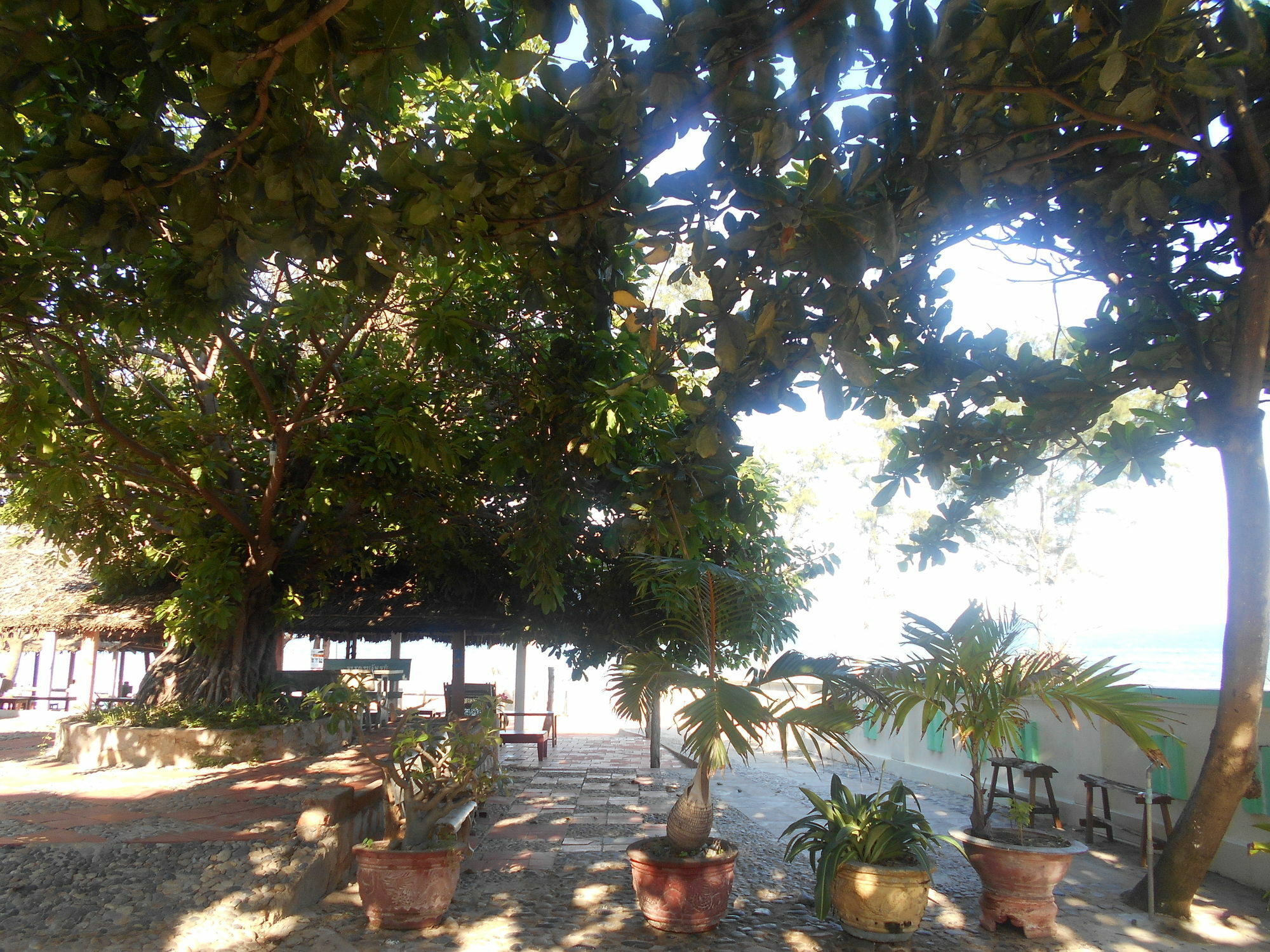 Suoi Nuoc Resort Mui Ne Dış mekan fotoğraf
